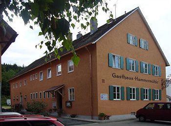 Landgasthof-Hotel Hammermuehle Донаущауф Екстериор снимка